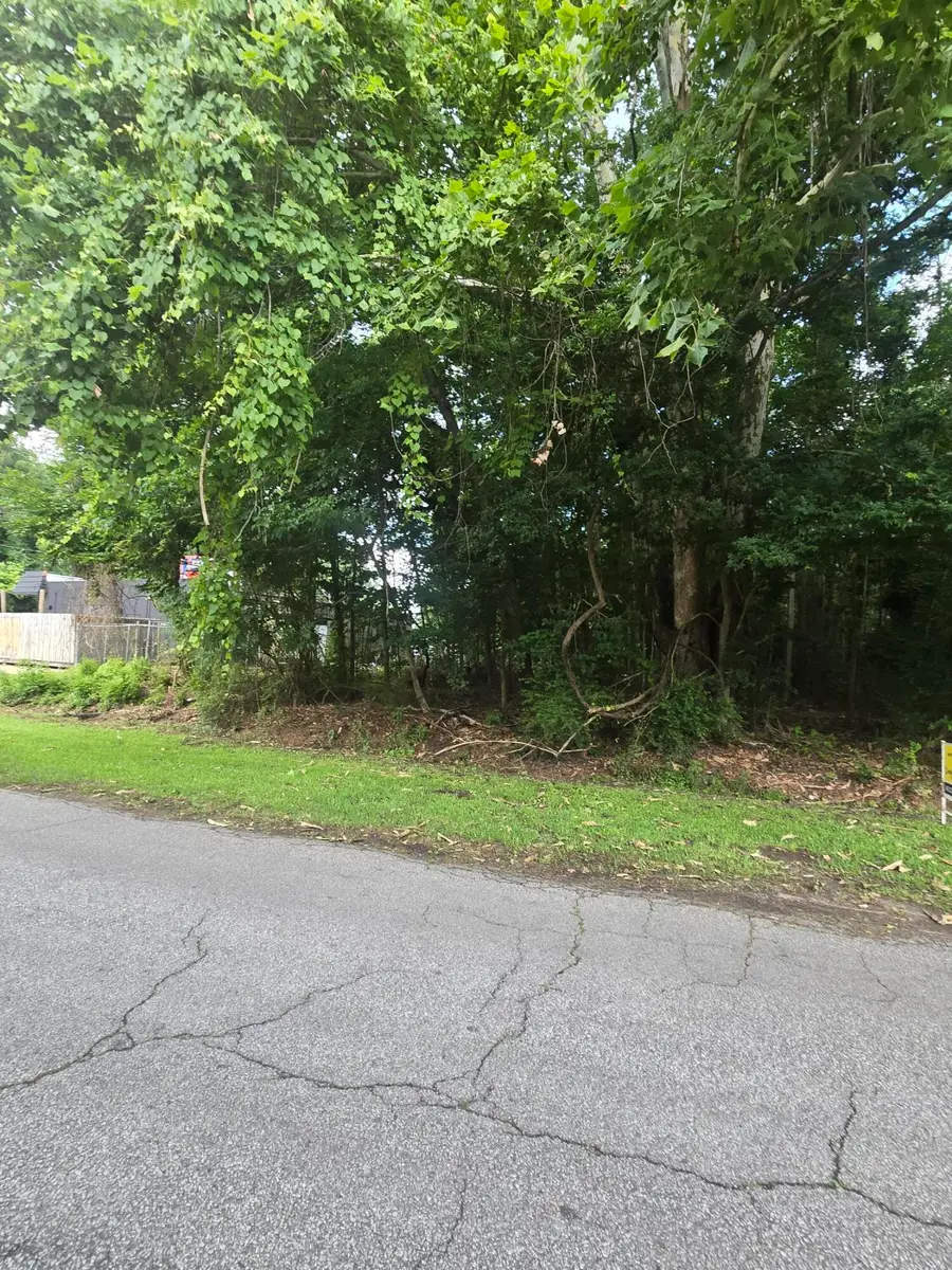 0 Judith Lot 3 Drive, Summerville, SC 29485 - #2
