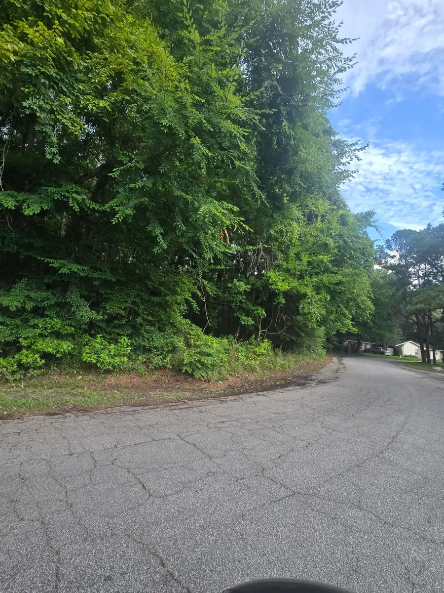 0 Judith Lot 3 Drive, Summerville, SC 29485 - #3
