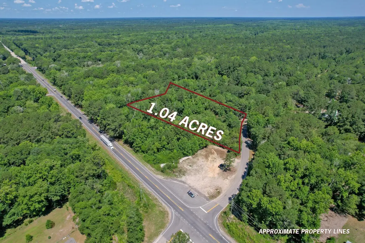119 Sandpit Drive, Ridgeville, SC 29472 - #1