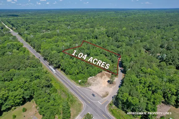 119 Sandpit Drive, Ridgeville, SC 29472