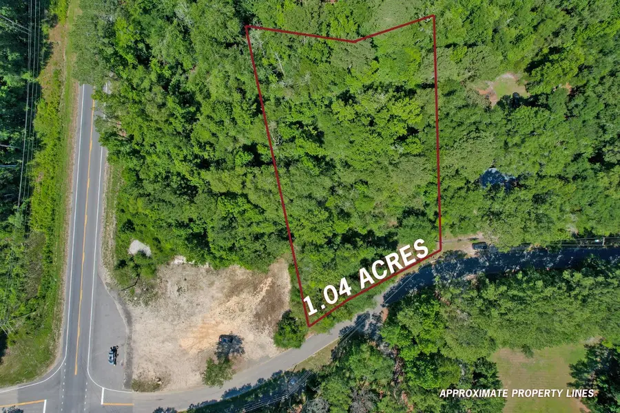 119 Sandpit Drive, Ridgeville, SC 29472 - #2