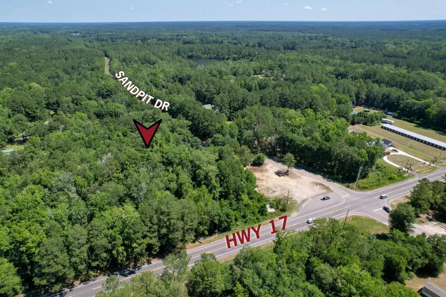 119 Sandpit Drive, Ridgeville, SC 29472 - #3