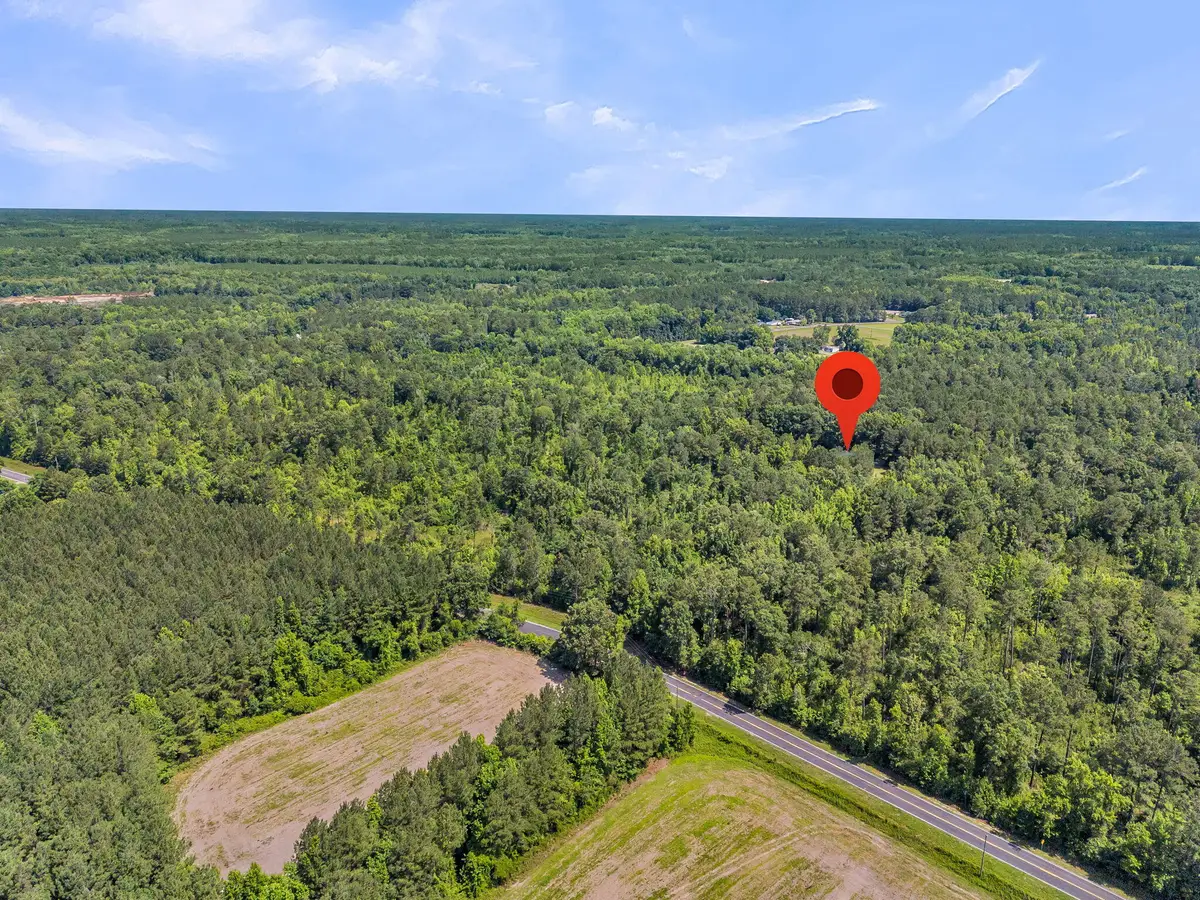 0 Wire Road, Reevesville, SC 29471 - #1