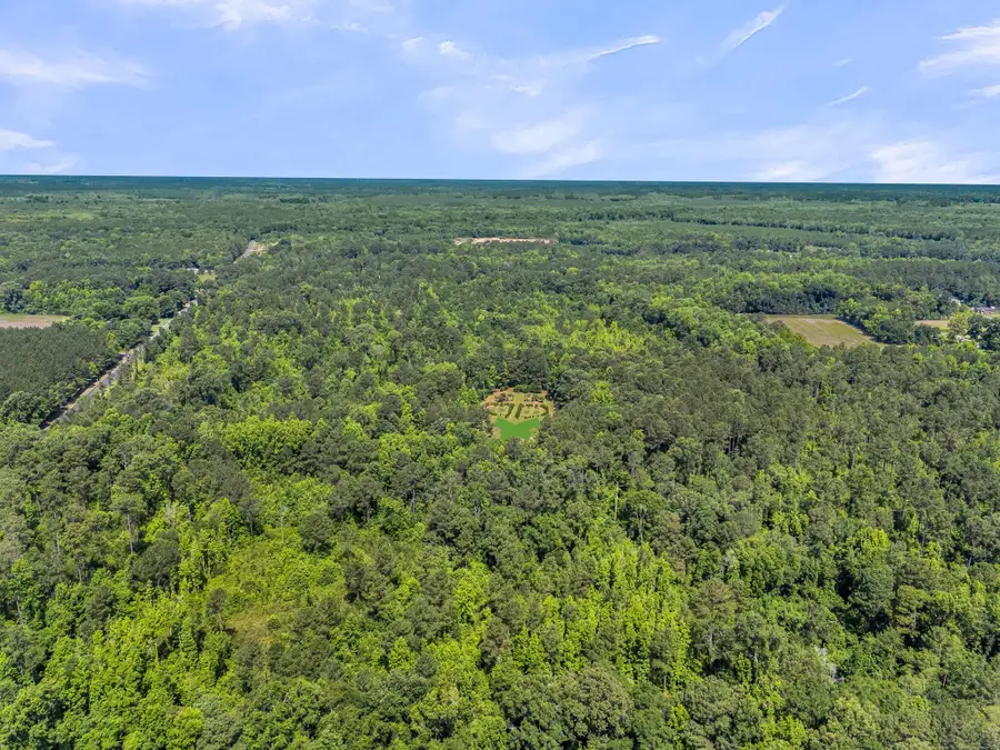 0 Wire Road, Reevesville, SC 29471 - #2