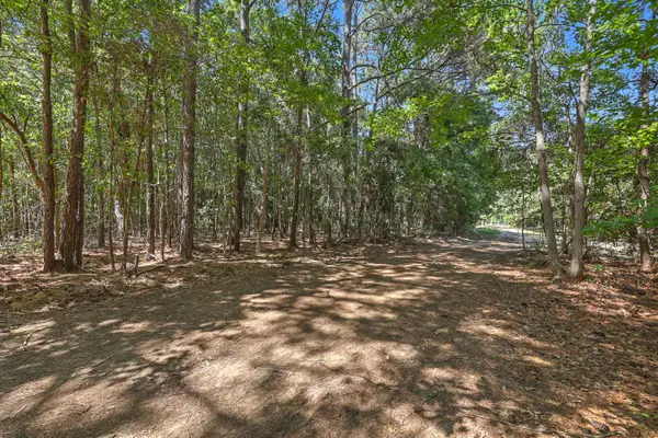 Lot 6 Nelson View Drive, Mount Pleasant, SC 29429