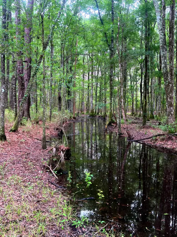 2150 Hughes Drive, Cottageville, SC 29435