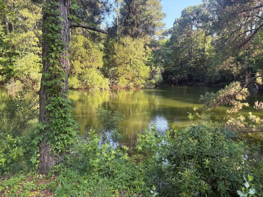 2014 Saphire Court, Mount Pleasant, SC 29466 - #2