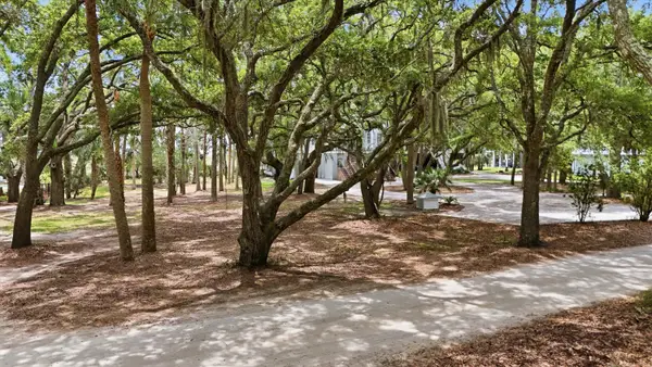 14 Hammocks Way, Edisto Island, SC 29438
