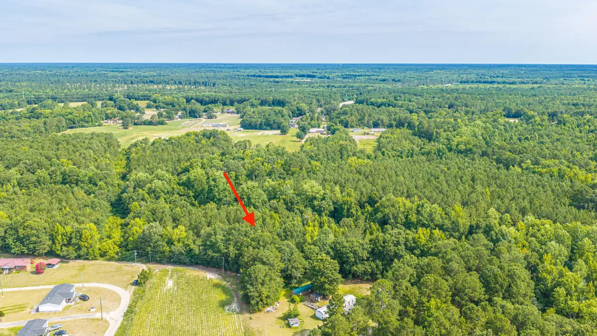 0 Leviticus Lots D-1 And D-2 Lane, Pineville, SC 29468 - #1