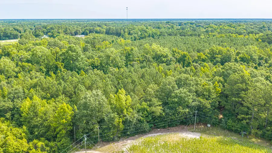 0 Leviticus Lots D-1 And D-2 Lane, Pineville, SC 29468 - #3