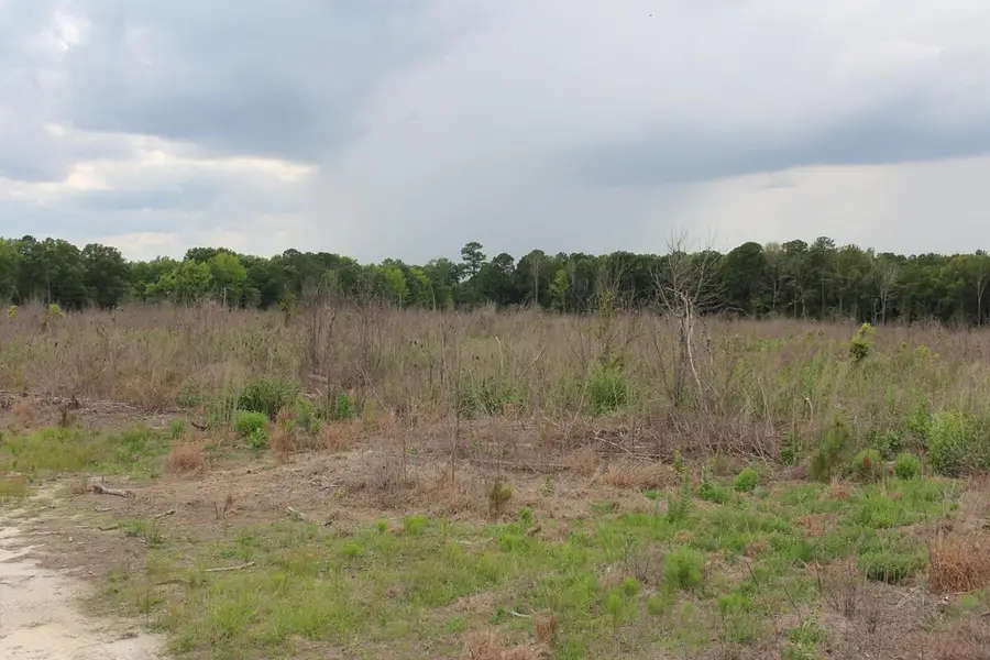 00 Moorer Road, Saint Matthews, SC 29135 - #2