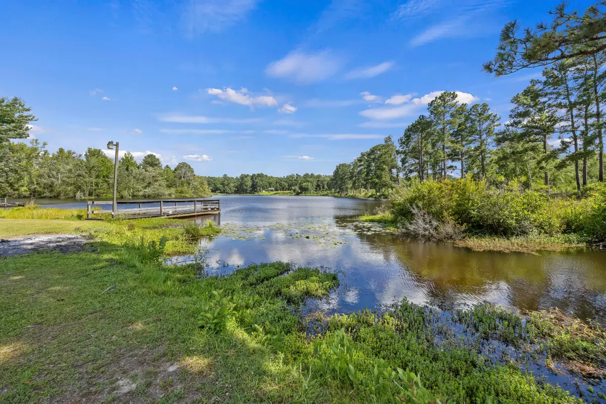 126 Towhee Circle, Orangeburg, SC 29118 - #1