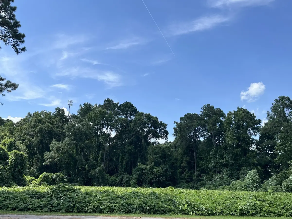 0 Low Country Highway, Ehrhardt, SC 29081 - #1