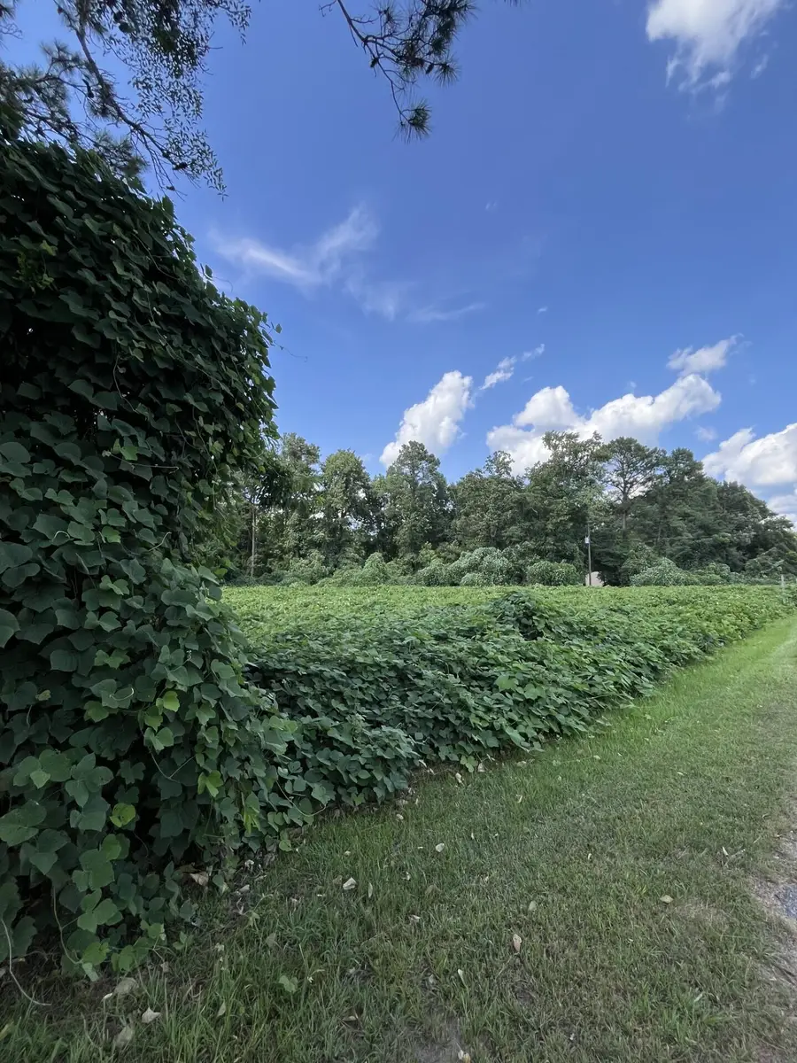 0 Low Country Highway, Ehrhardt, SC 29081 - #2