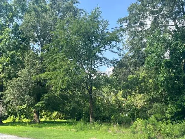 0 Parsons Road, Summerville, SC 29483 - #1