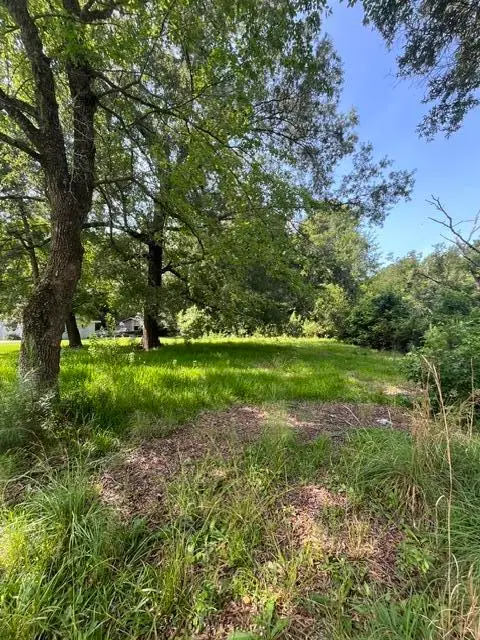 0 Parsons Road, Summerville, SC 29483 - #2