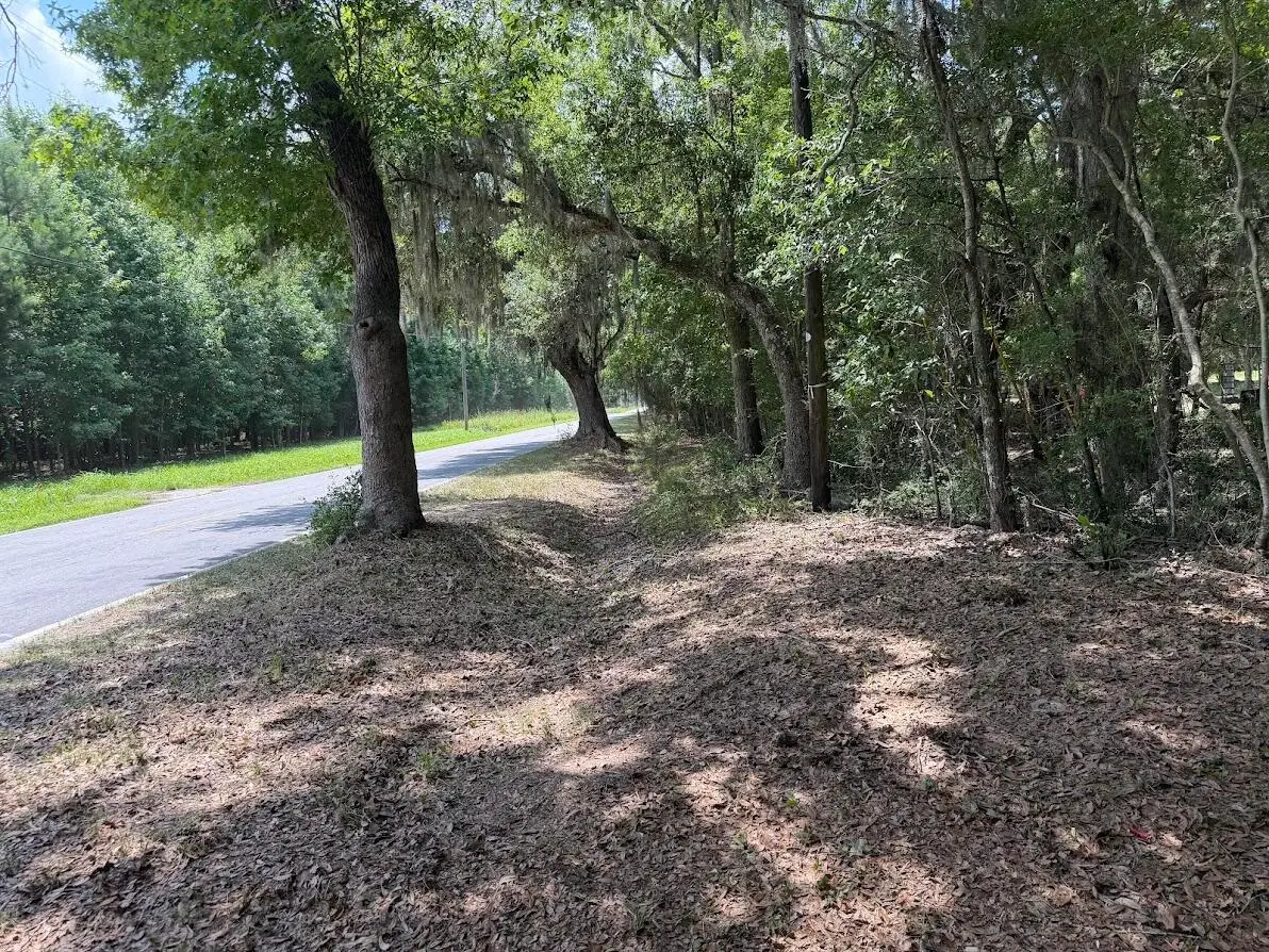 4491 Sc-165, Hollywood, SC 29449 - #1
