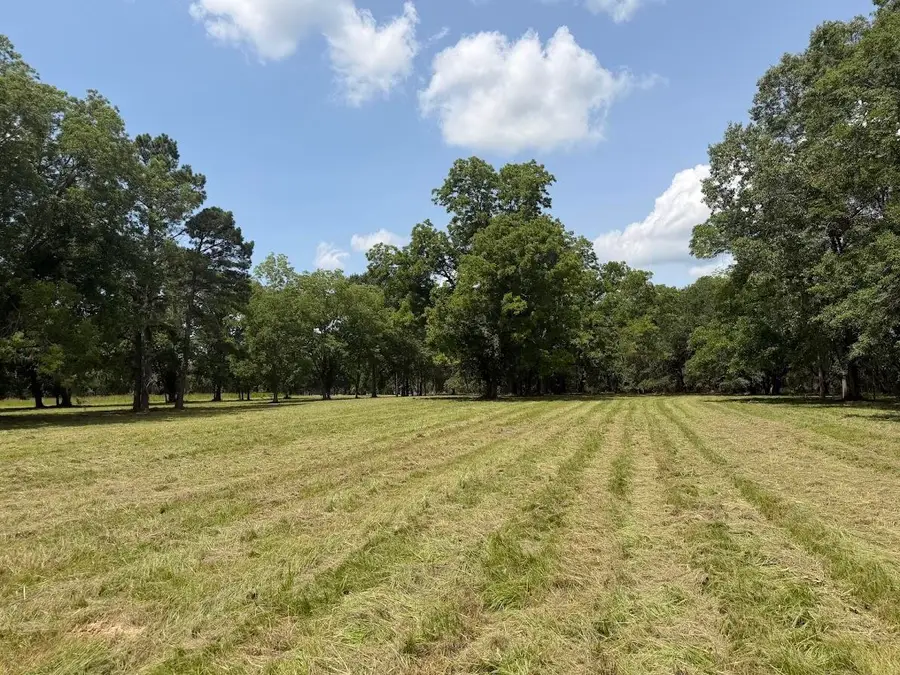 4491 Sc-165, Hollywood, SC 29449 - #2