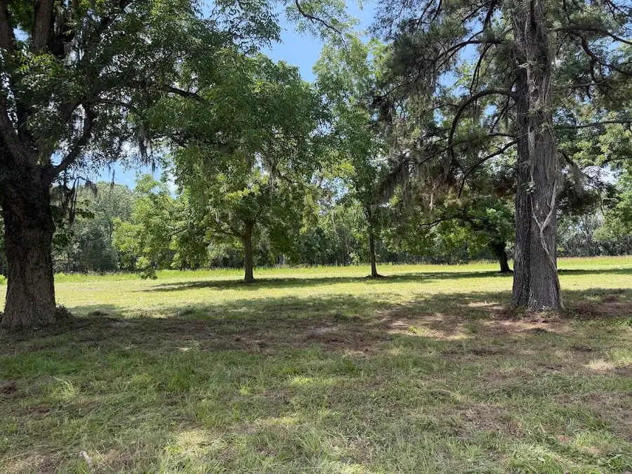4491 Sc-165, Hollywood, SC 29449 - #3
