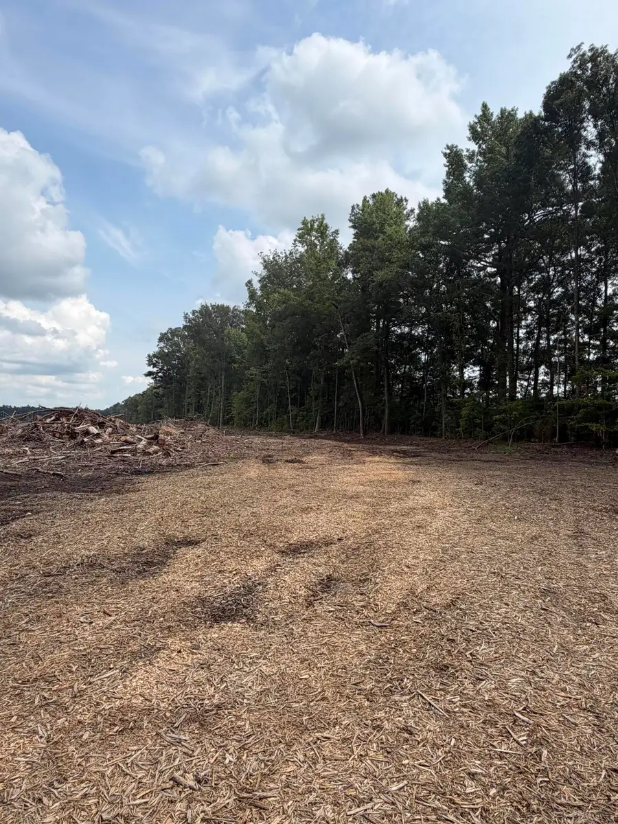 004 Summers Drive, Summerville, SC 29483 - #3
