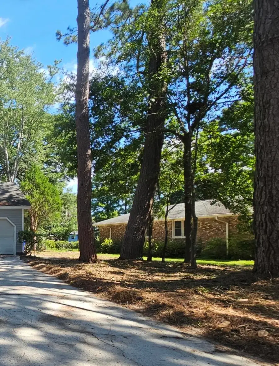 688 Pelzer Drive, Mount Pleasant, SC 29464 - #3