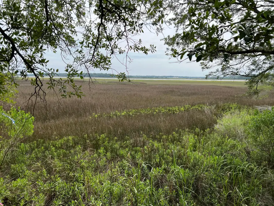 2017 Paul Chavis Lane, Charleston, SC 29412 - #2