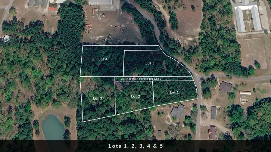 1 Broken Arrow Road, Eutawville, SC 29048 - #3