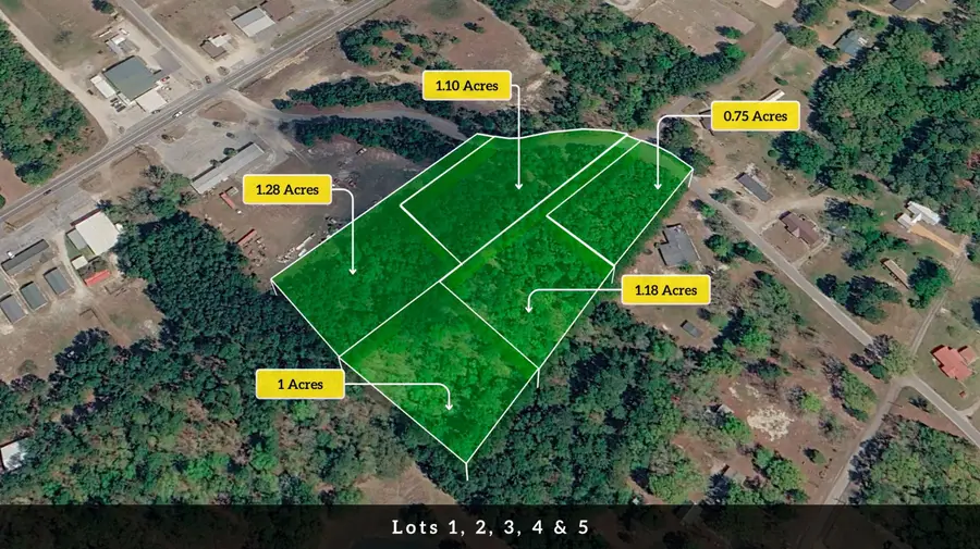 5 Broken Arrow Road, Eutawville, SC 29048 - #2