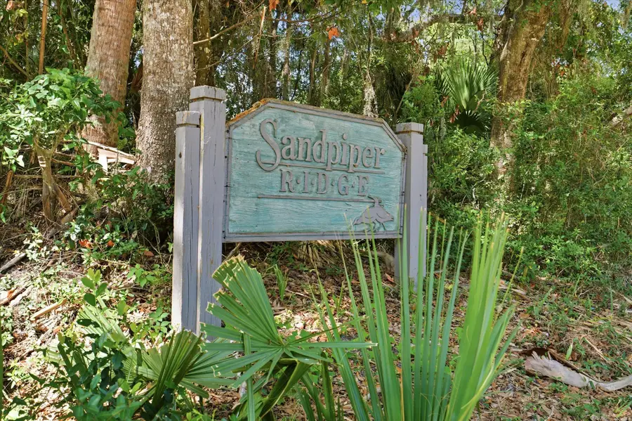 718 Sandpiper Ridge, Edisto Beach, SC 29438 - #2