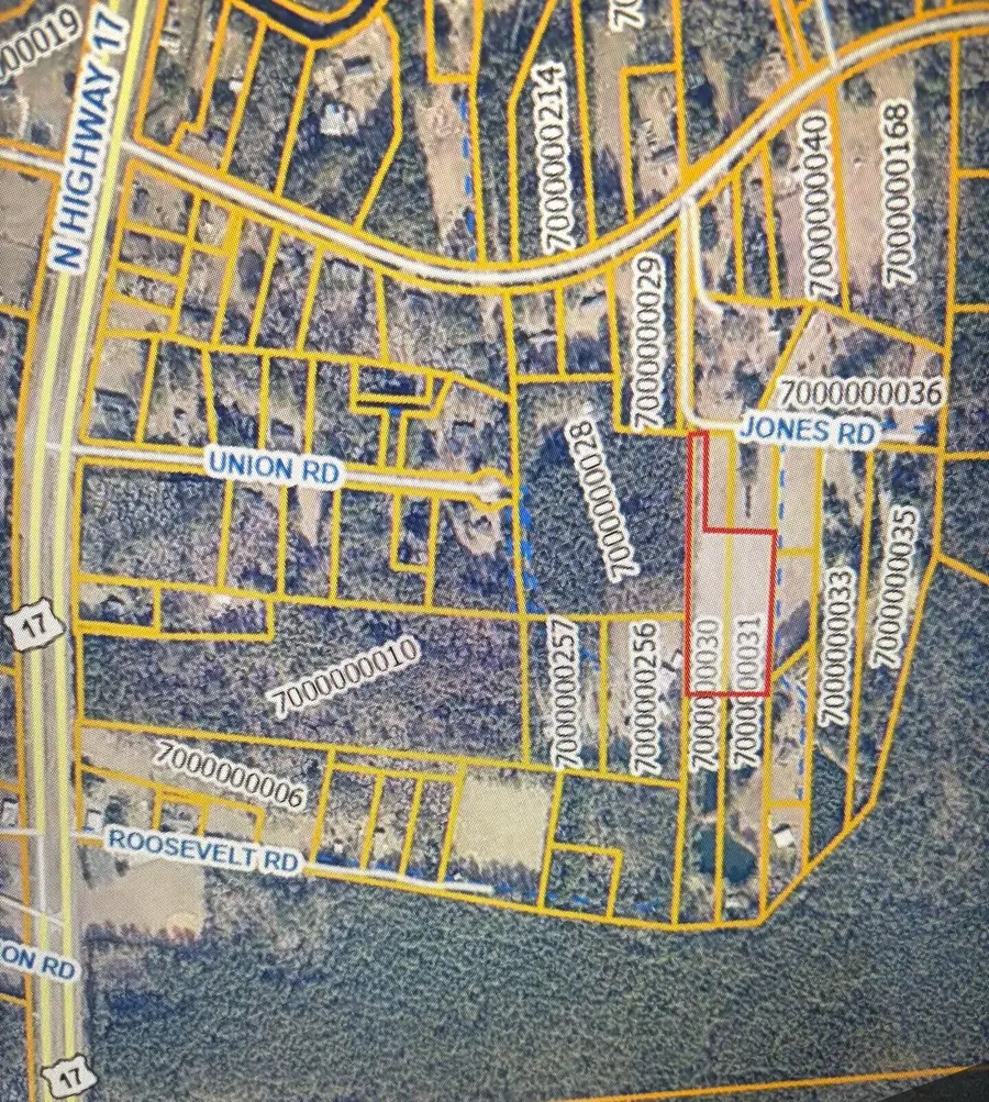2 Jones Road, Awendaw, SC 29429 - #2