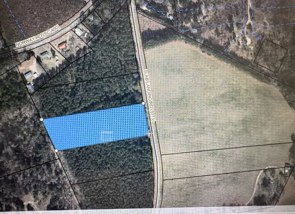 Tbd Slablanding Road Road, Cope, SC 29038