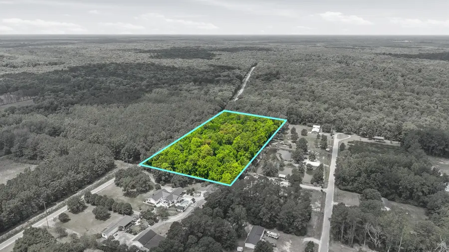 601 Huggins Landing Road, Galivants Ferry, SC 29544 - #2