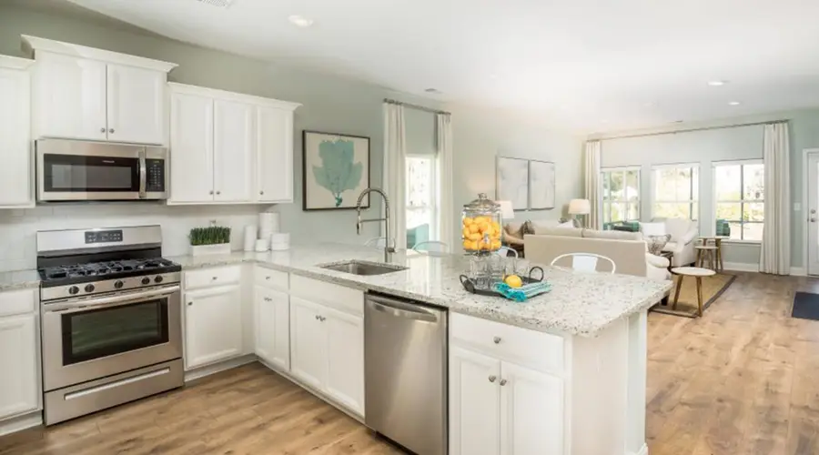 149 Beamon Loop, Summerville, SC 29486 - #3