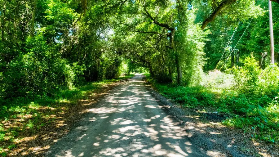 000 Arsburn Road, Charleston, SC 29412 - #3
