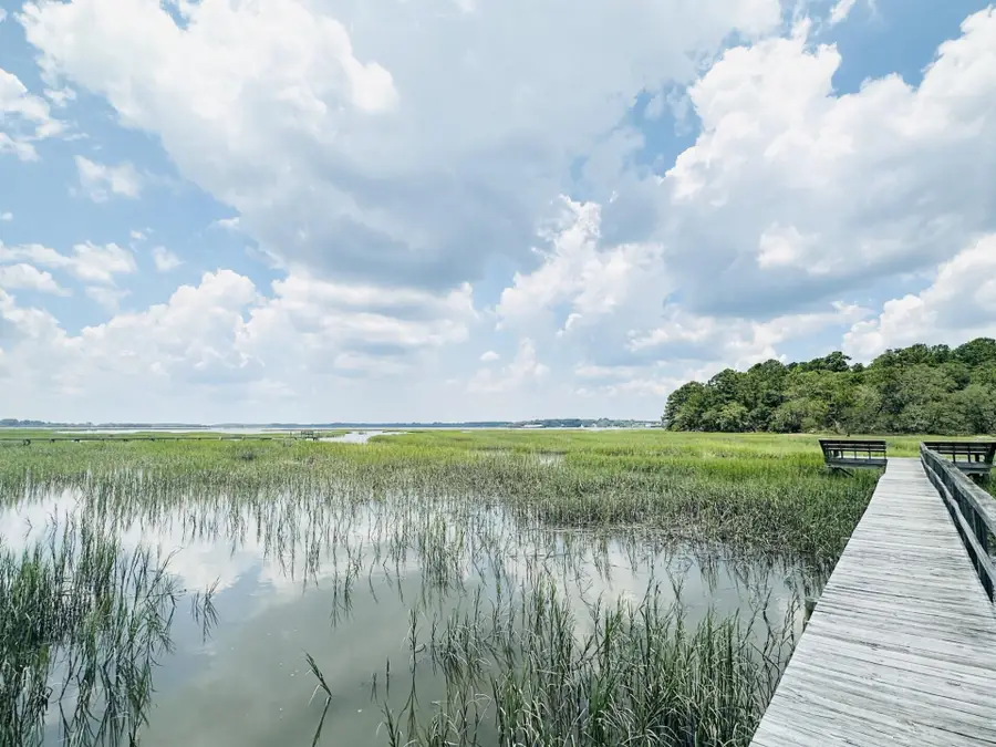 5979 Joseph Blake Lane, Wadmalaw Island, SC 29487 - #2