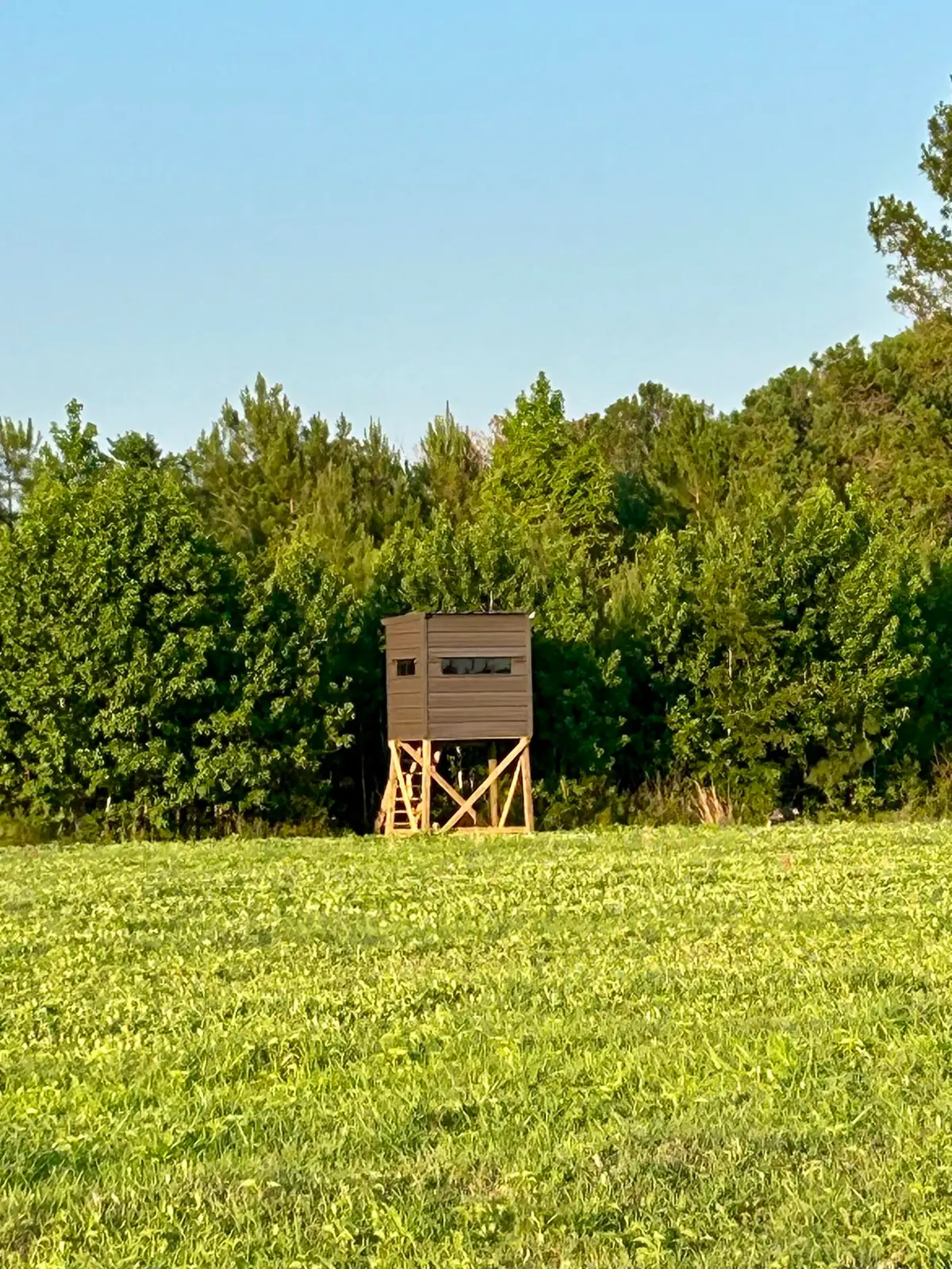 0 Fc Cox Road, Hemingway, SC 29554 - #1