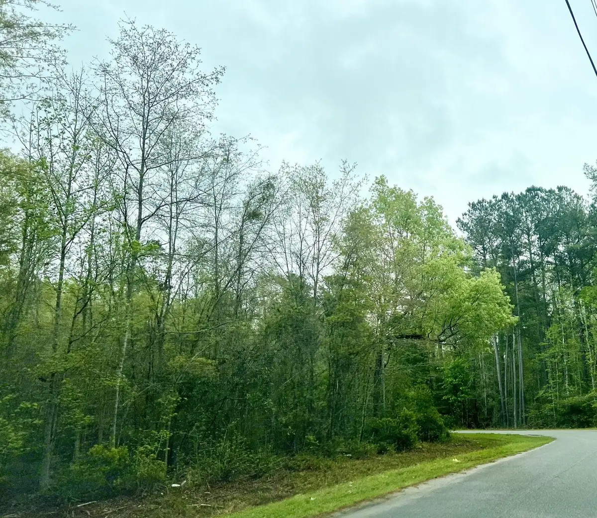 0 Glen Street, Walterboro, SC 29488 - #1