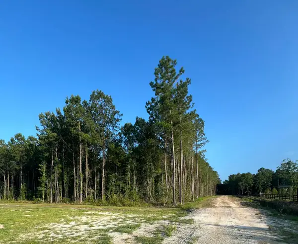 0 Droze Lane, Summerville, SC 29486