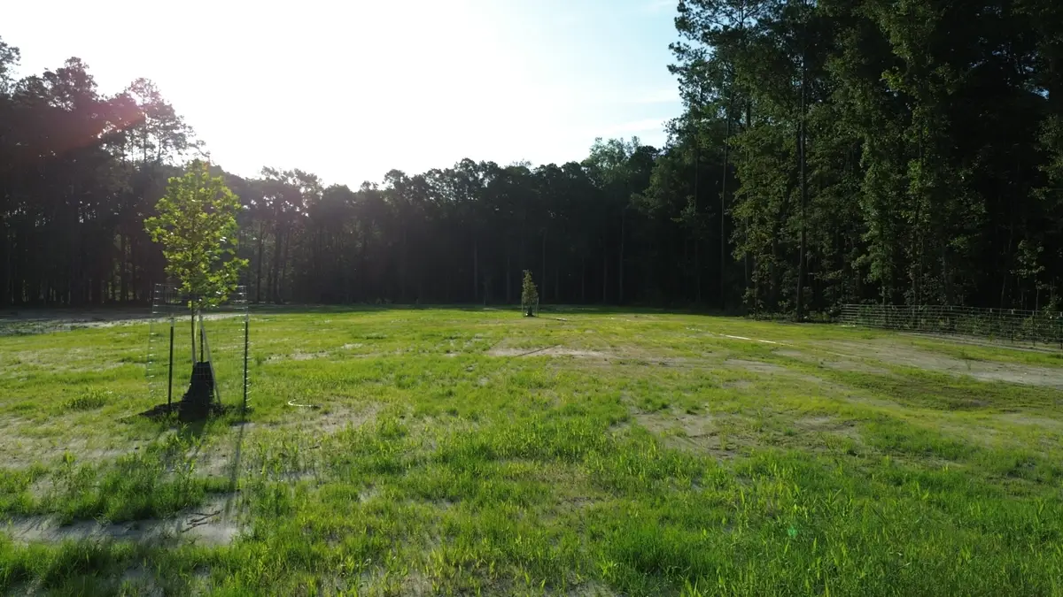 379 Fish Road Estates Lane, Ridgeville, SC 29472 - #1
