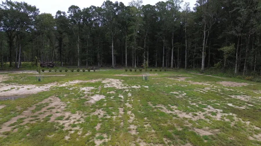 379 Fish Road Estates Lane, Ridgeville, SC 29472 - #3
