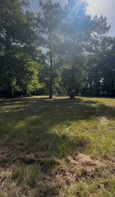 209 Claussen Street, Summerville, SC 29483 - #3