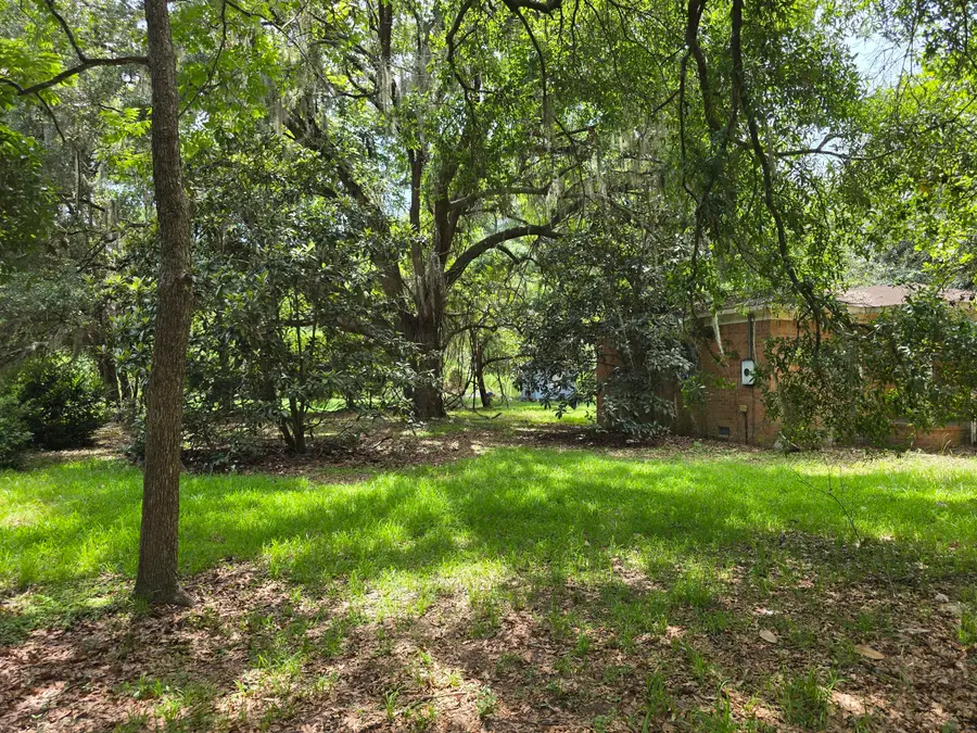 1946 River Road, Johns Island, SC 29455 - #2
