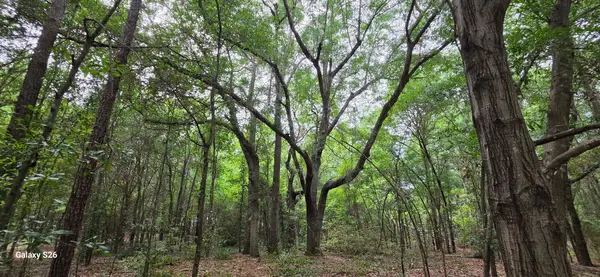 00 Cooper Lane, Summerton, SC 29148