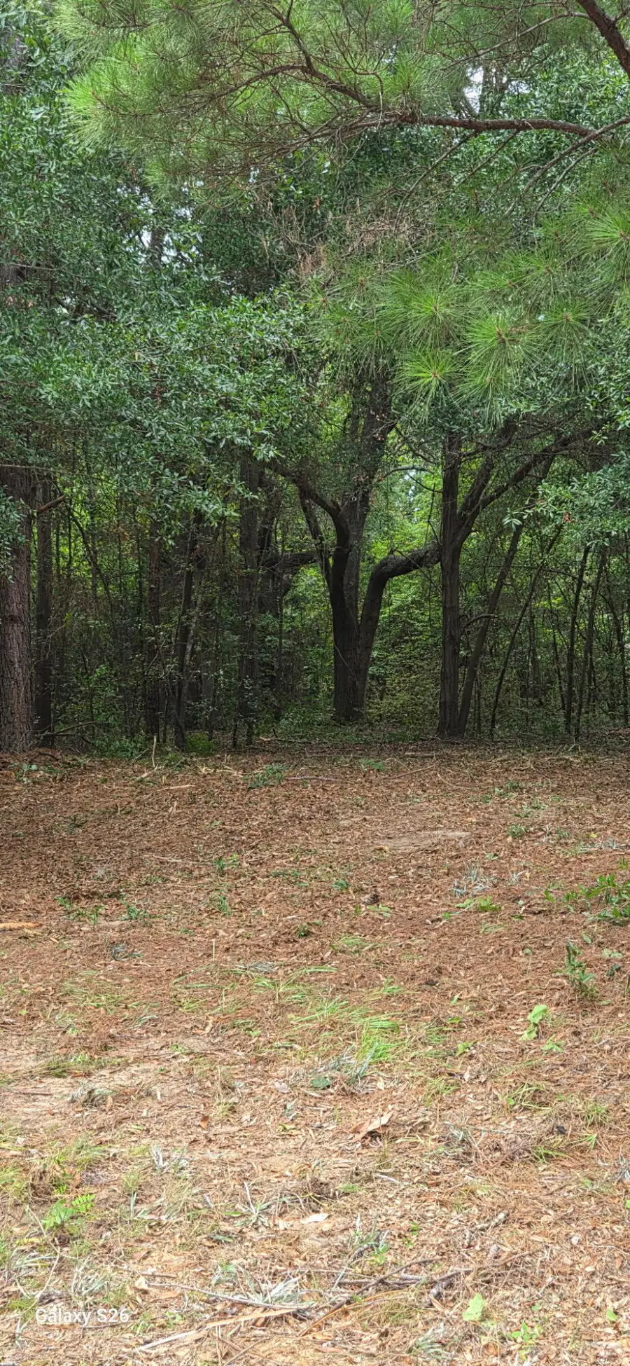 00 Cooper Lane, Summerton, SC 29148 - #2