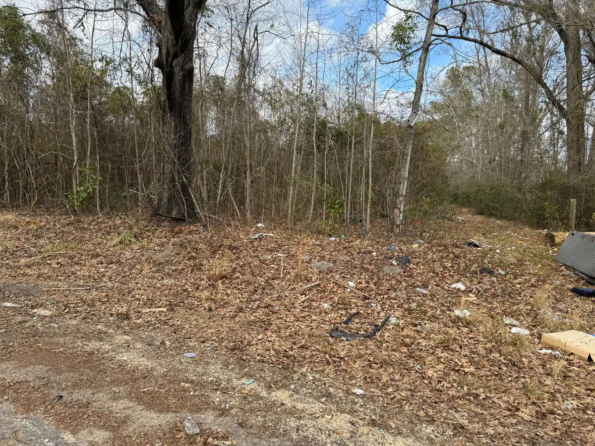 5510 Mauss Hill Road, Hollywood, SC 29449 - #1