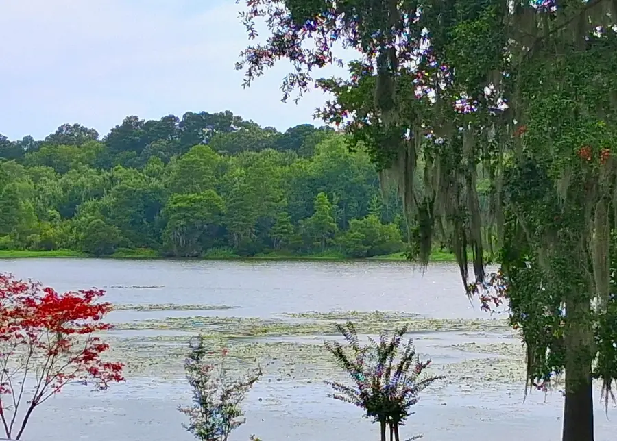 108 Hampton Avenue, Goose Creek, SC 29445 - #3