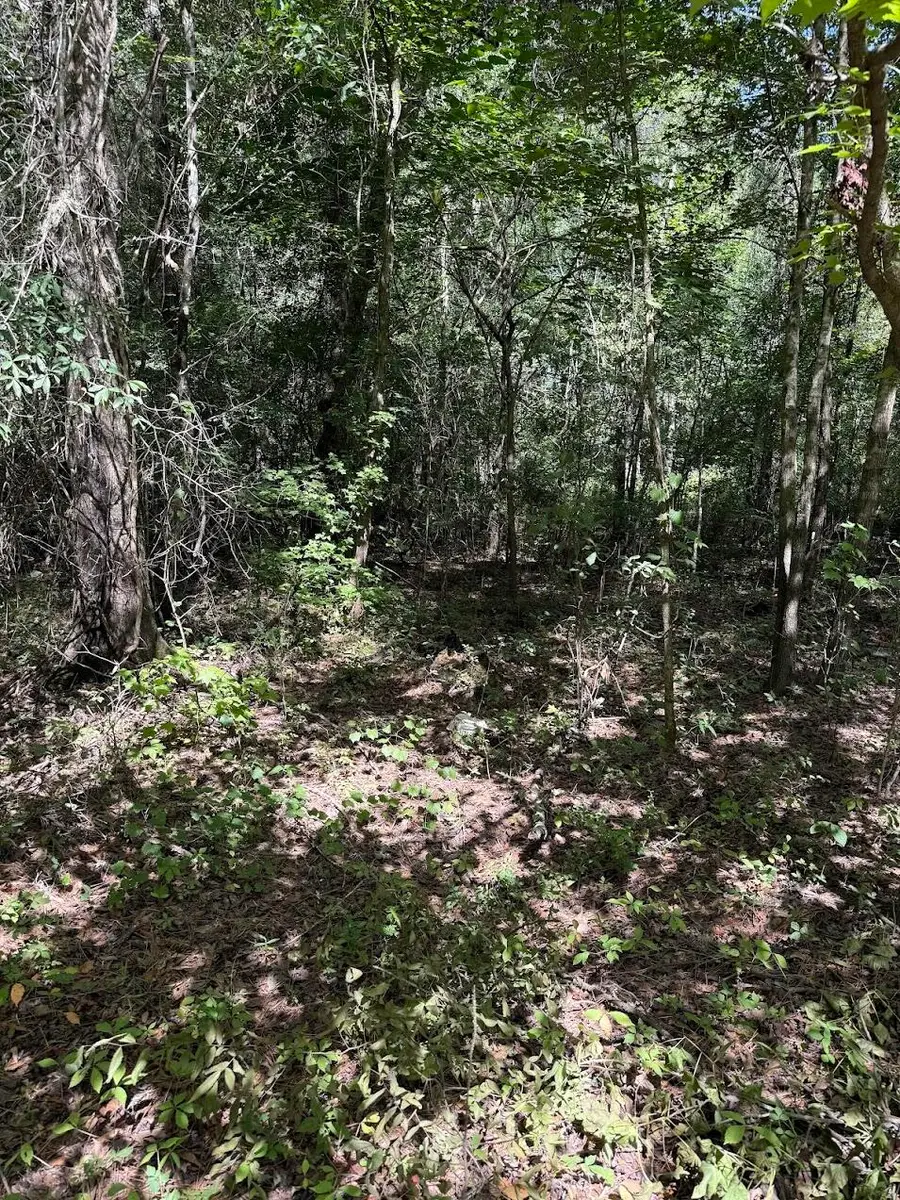 1 Parkers Ferry Road, Adams Run, SC 29426 - #3