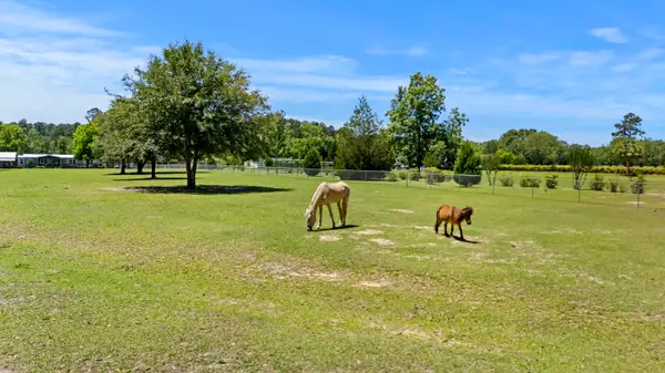 00 Campbell Road, Ridgeville, SC 29472