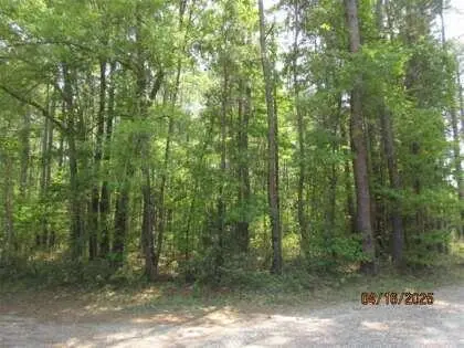 0 Old Arrowhead Road, Huger, SC 29450 - #1