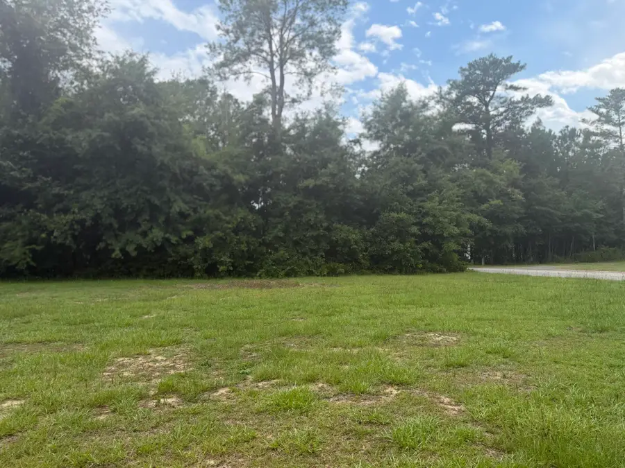 4080 Coburg Lane, Orangeburg, SC 29115 - #2